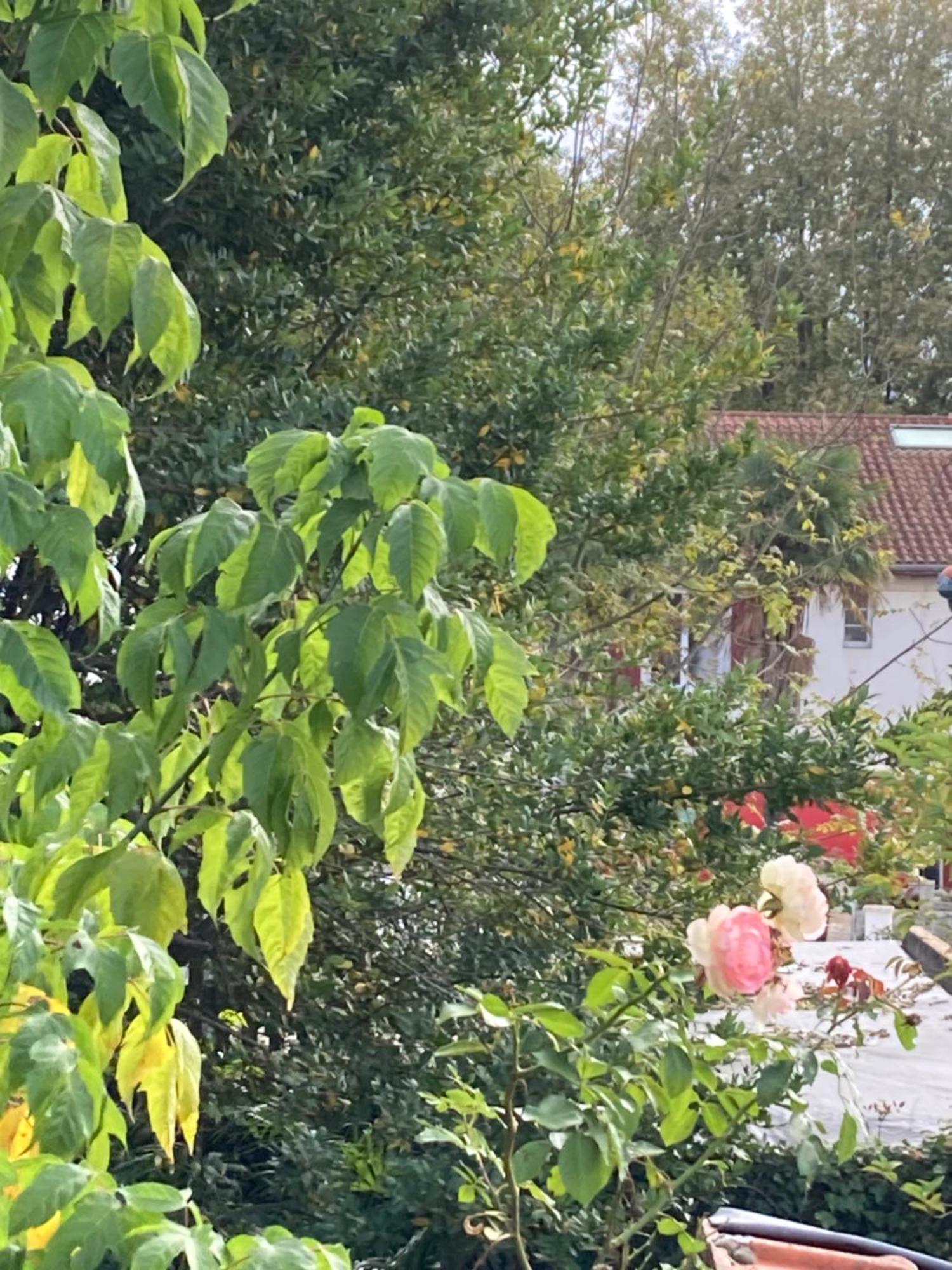 Appartement Avec Vue Sur L Adour Urt Exterior foto